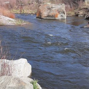 Meet your Posher, Marcquese